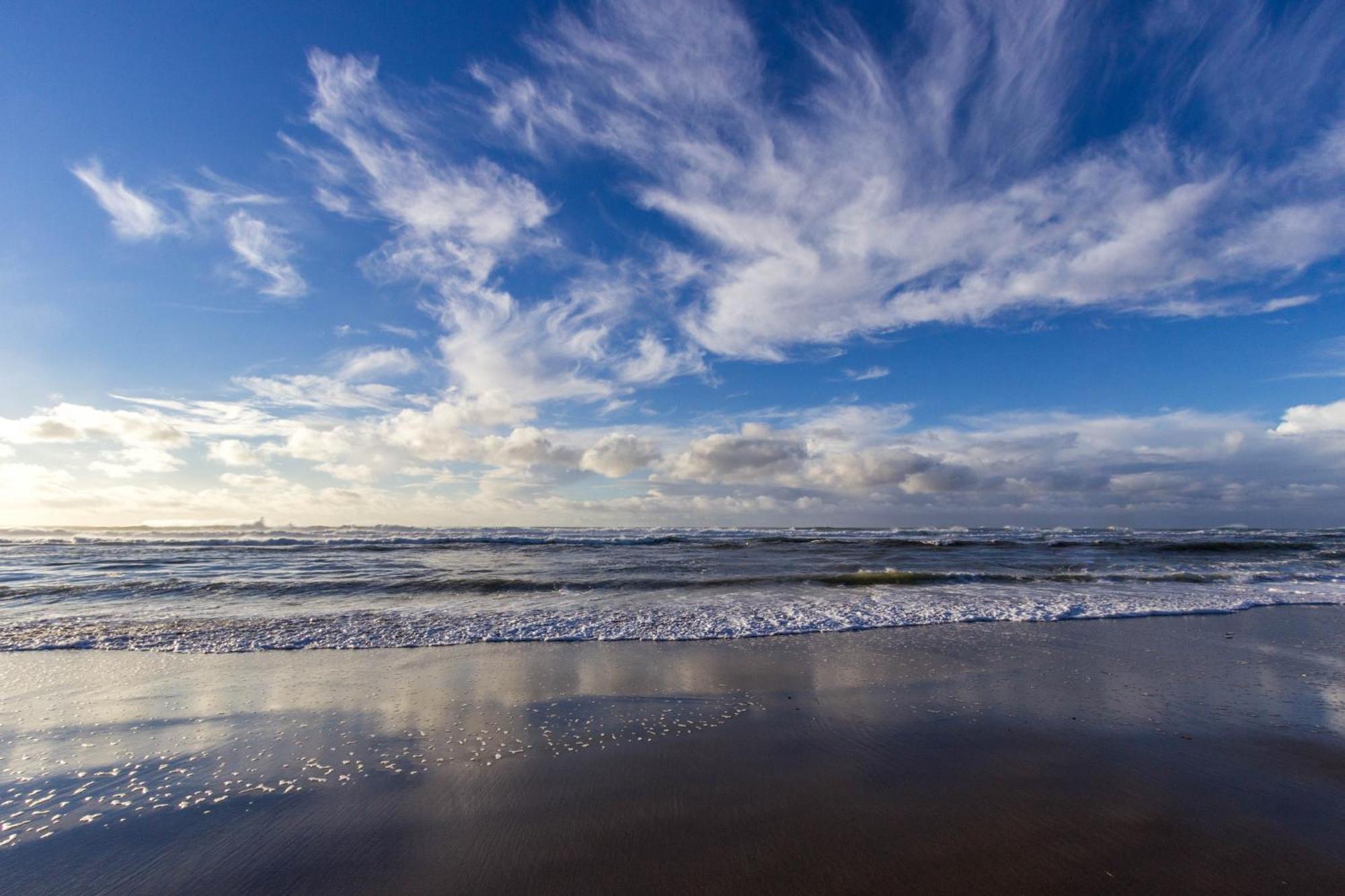 The Whale At Sandstone Point Apartment Lincoln City Ruang foto