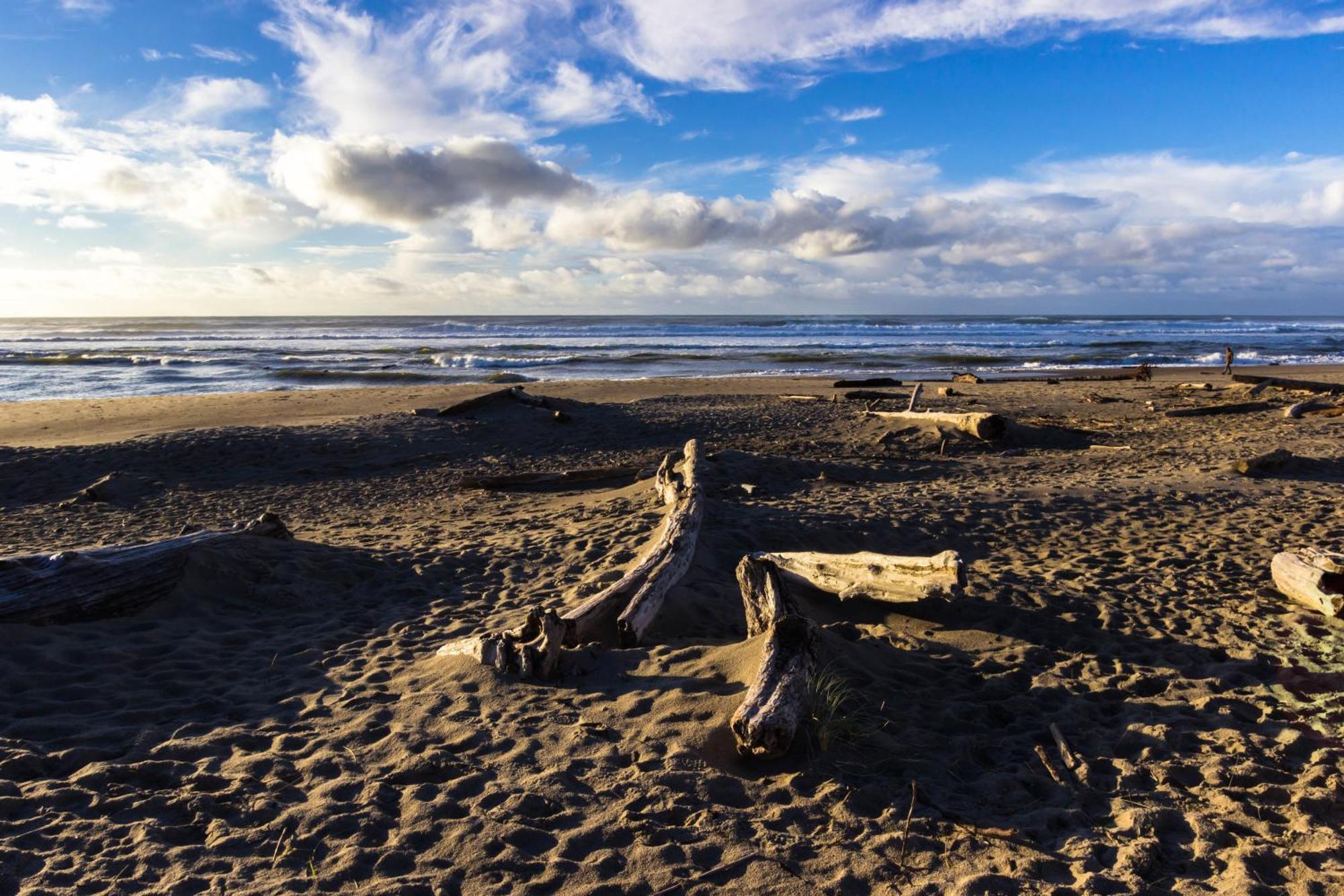 The Whale At Sandstone Point Apartment Lincoln City Ruang foto